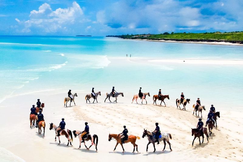 Horse Riding